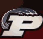 Picayune