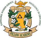 Pillow Academy